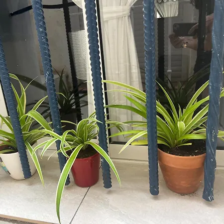 Casa Deniz Apartment *